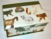 Square Box with Cat Breeds Paper